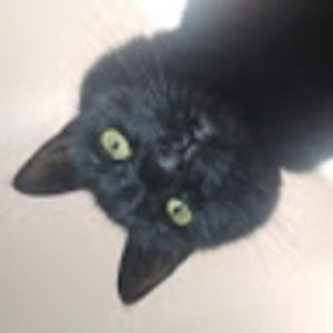 Meet your Posher, Asmartodyssey